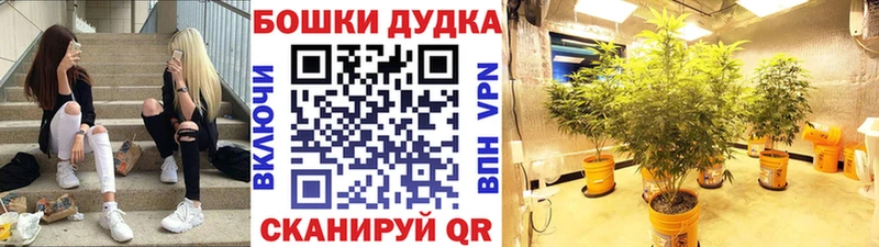 Хочу наркоту Островной гидра рабочий сайт  Кокаин  КЕТАМИН  МЕФ  Псилоцибиновые грибы  МАРИХУАНА  Гашиш  A-PVP  АМФЕТАМИН 