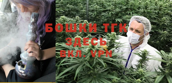 сатива Белокуриха