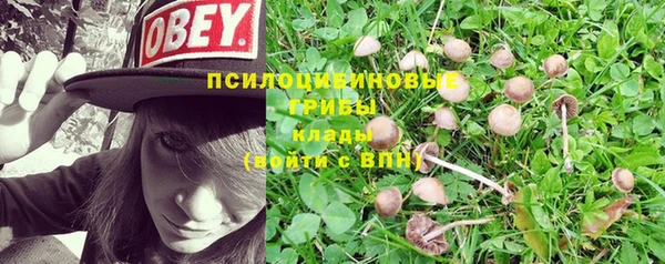 стаф Балабаново